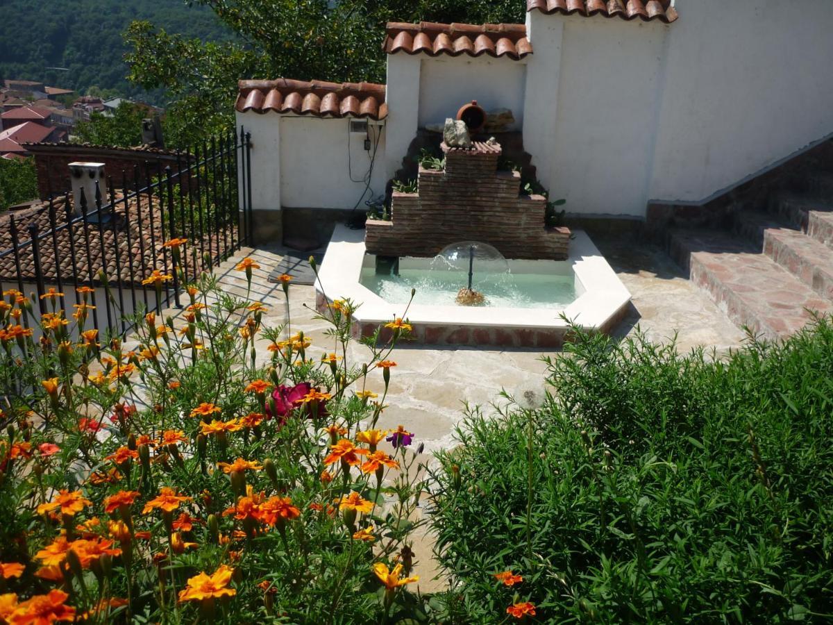 Guest House Harmony Weliko Tarnowo Exterior foto